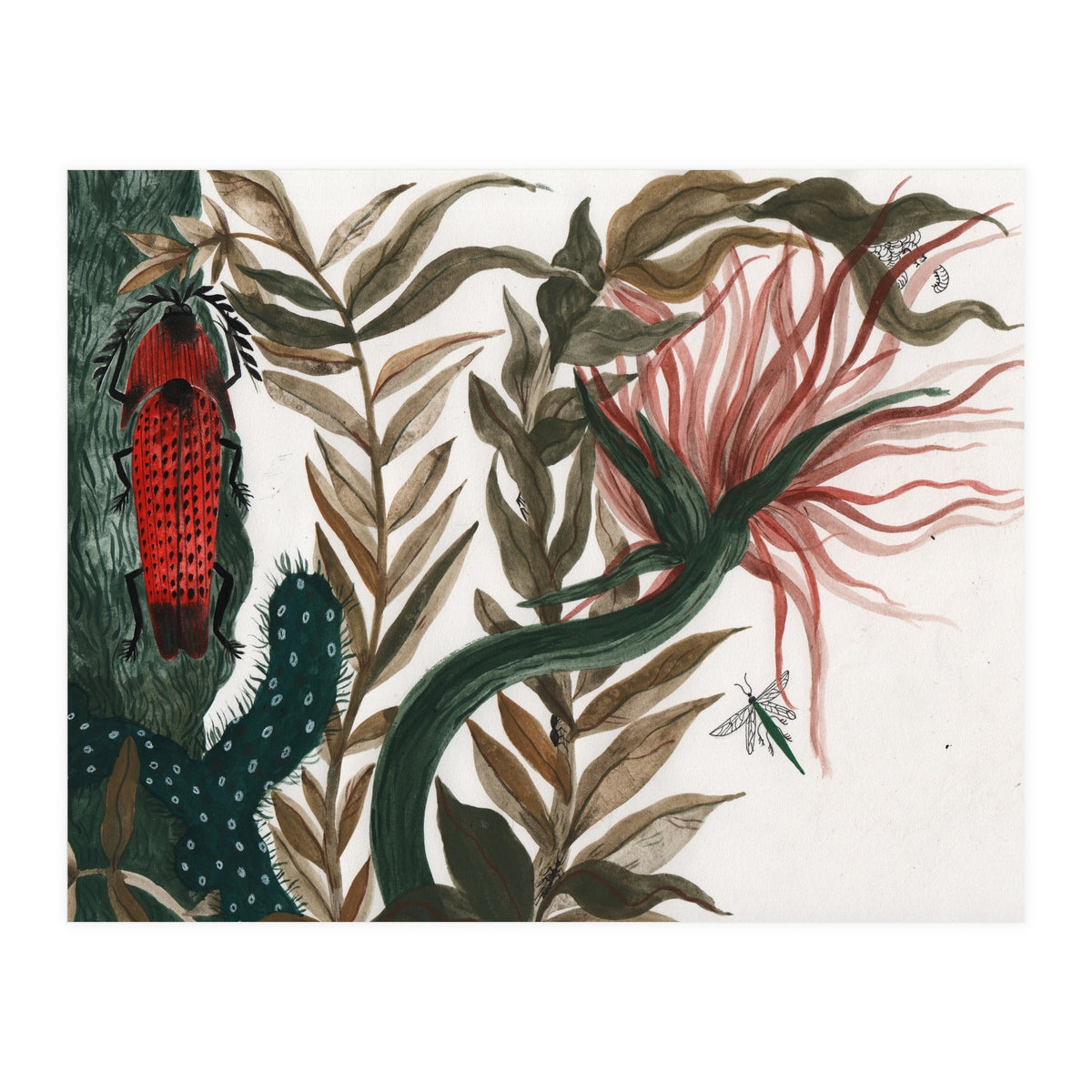 Insects (Print Only)