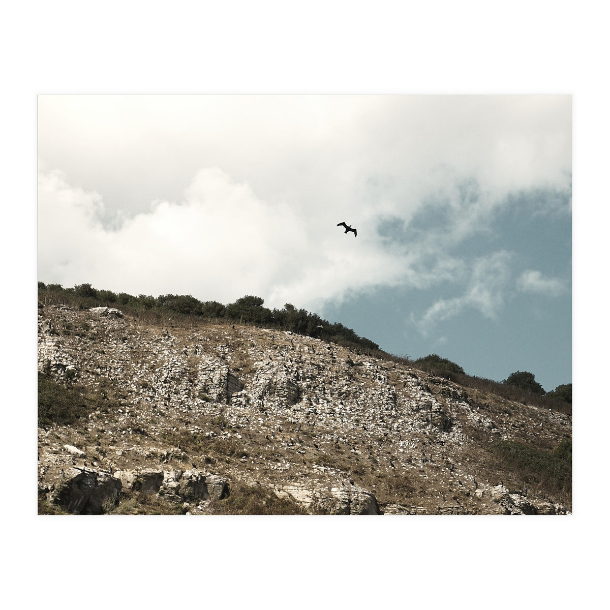 Soar High (Print Only)