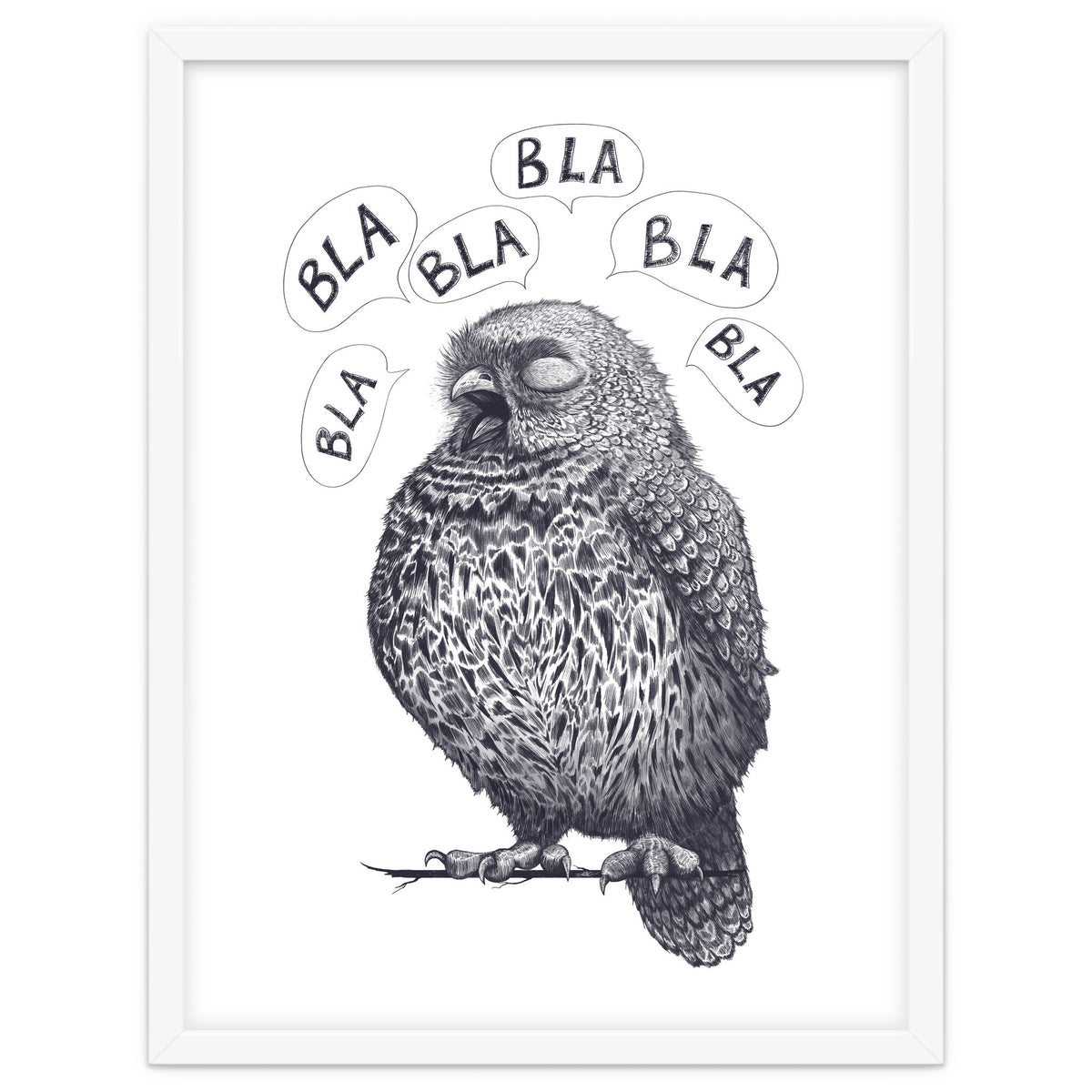 Owl Bla Bla Bla