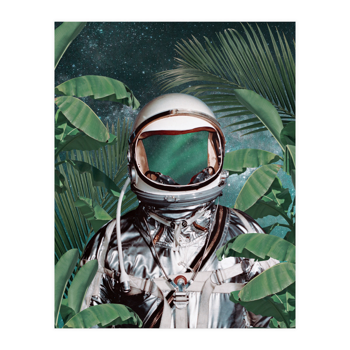 Paradise Found (Print Only)