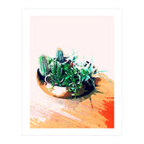 Cacti In A Copper Pot (Print Only) thumbnail