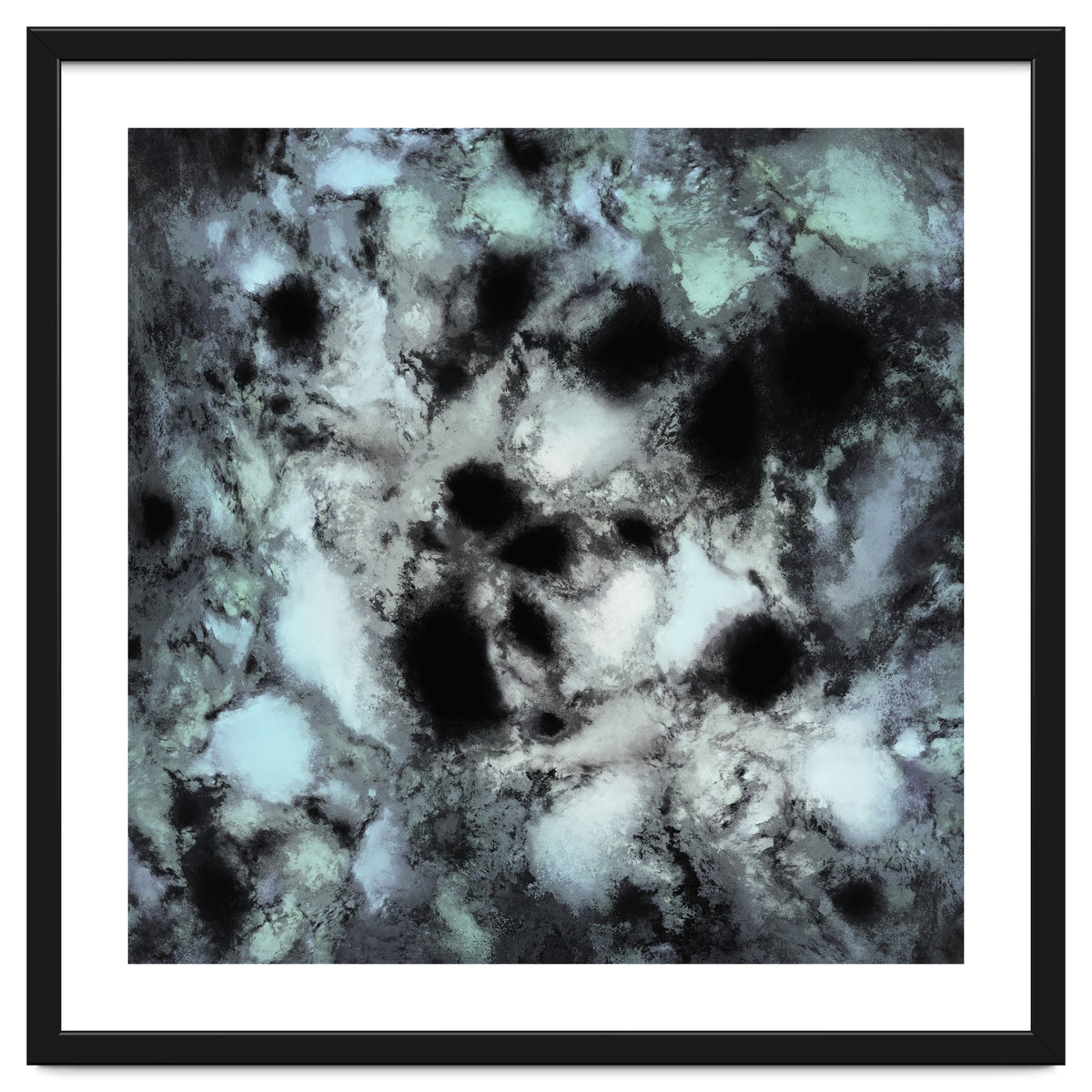 Searching For Animal Tracks