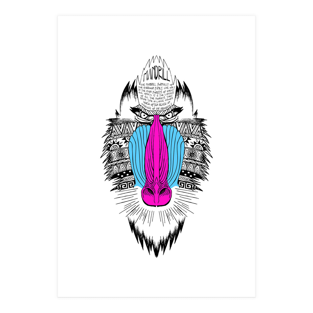 Mandrill (Print Only)