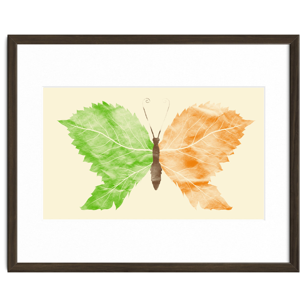 Seasons Change Time Flies