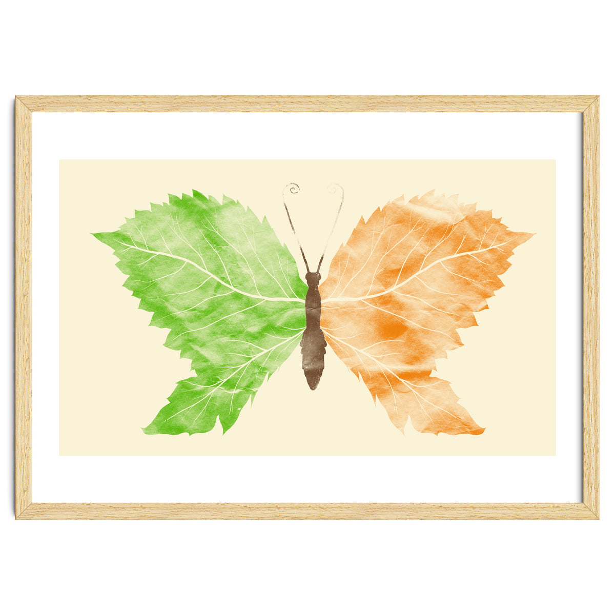 Seasons Change Time Flies