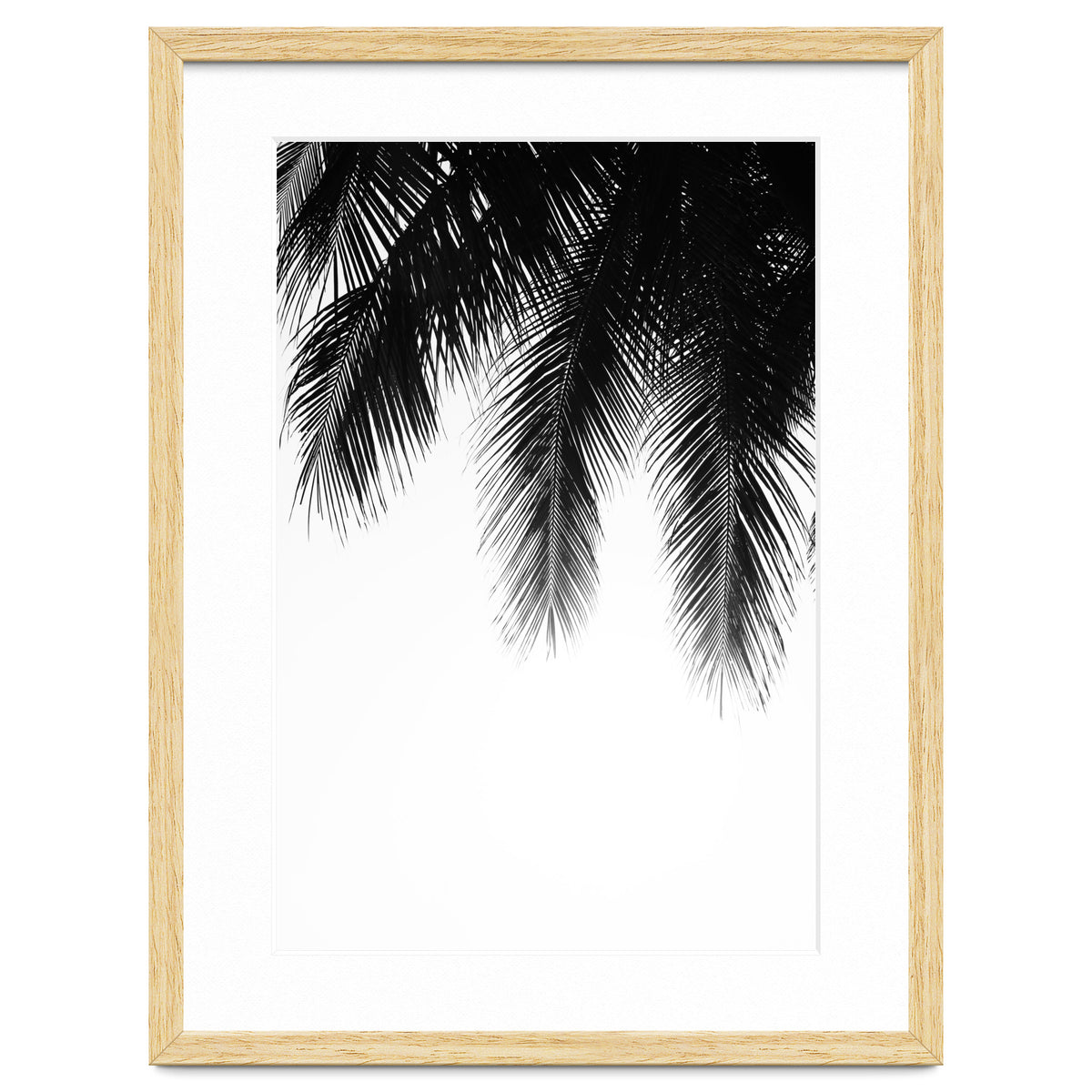 Palm leaves