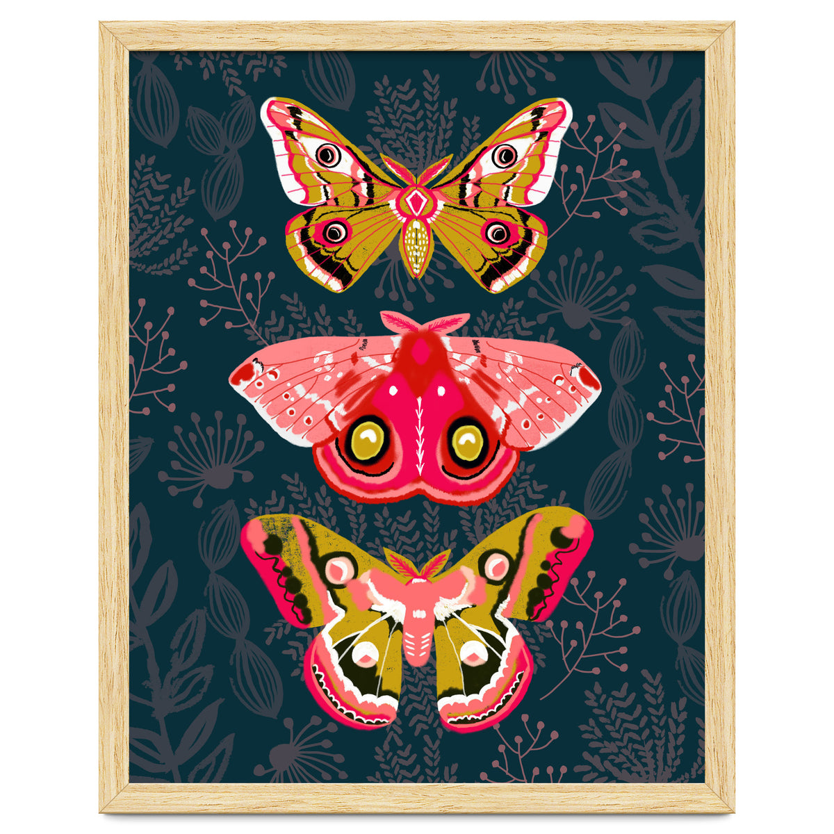 Lepidoptery Study No. 4