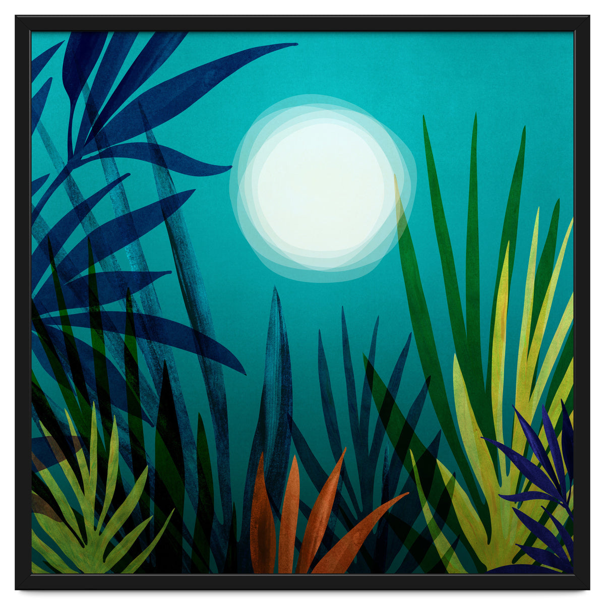 Midnight In The Jungle