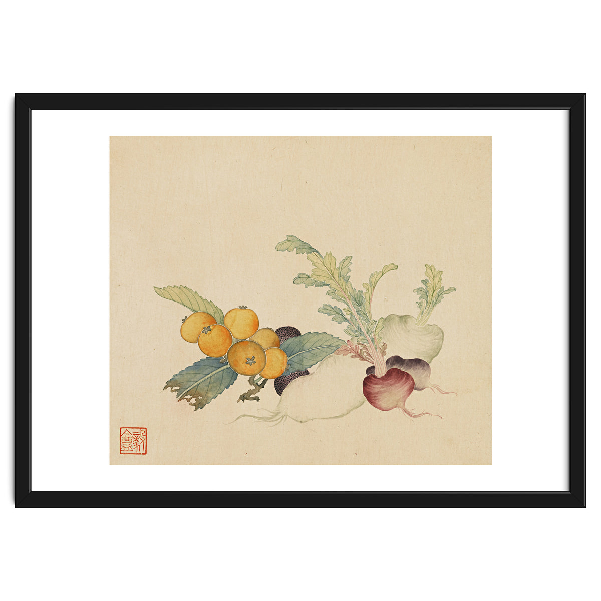 Wang Chengpi~flowers And Vegetables, Vegetables, Fruits, Loquat, White Radish, Carrot, Radish