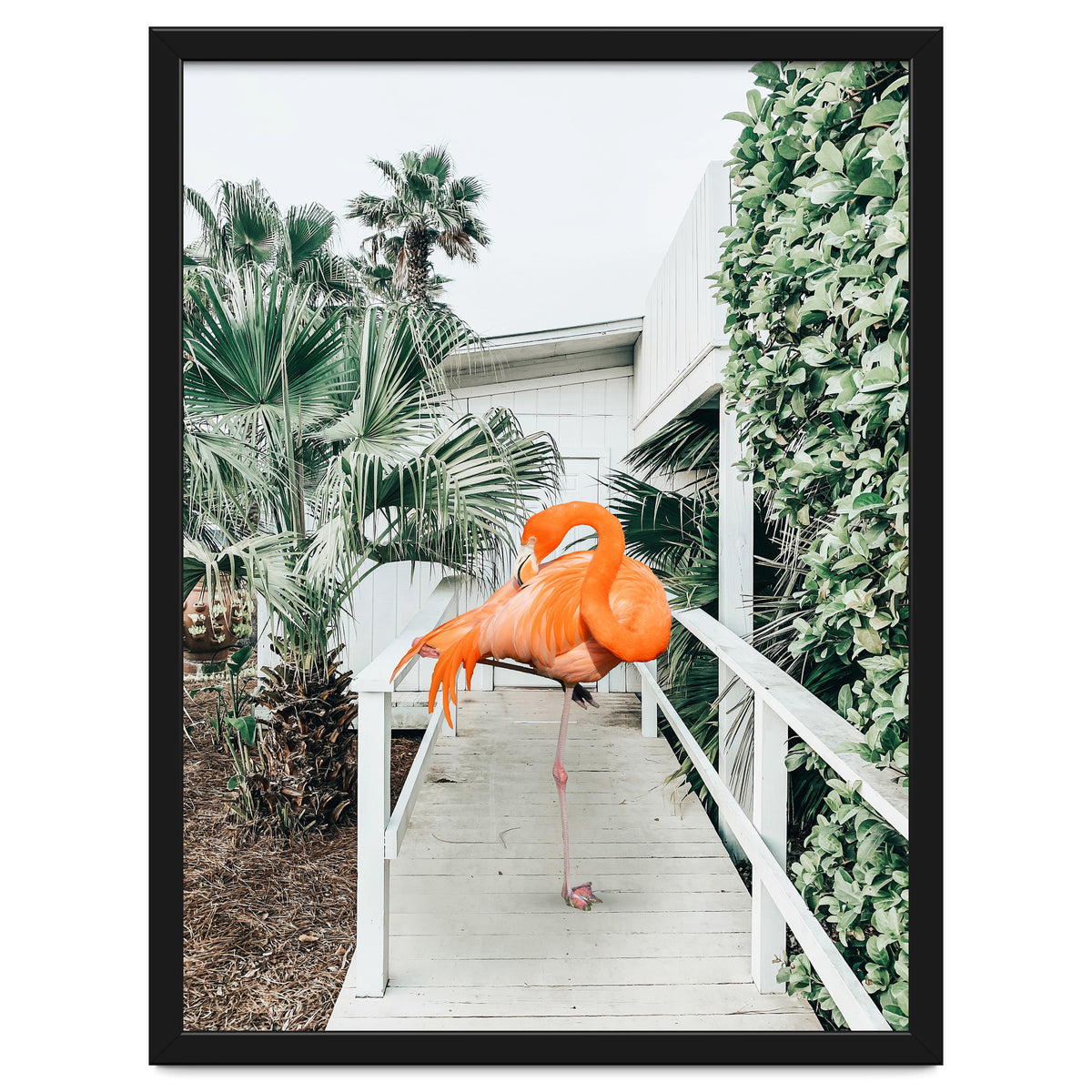 Flamingo Beach House