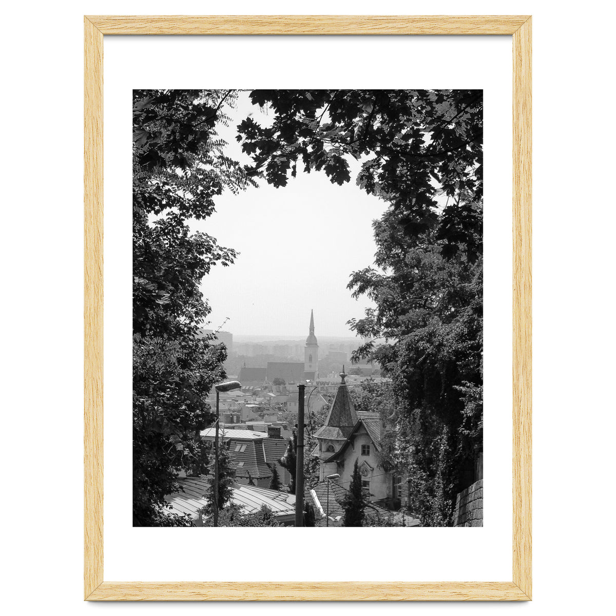 Bratislava Reflection