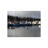 Fleet (Print Only) thumbnail