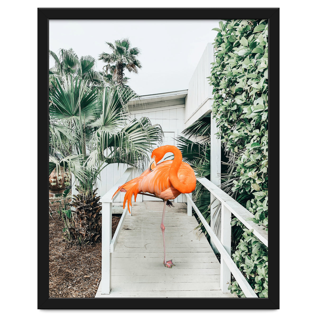 Flamingo Beach House