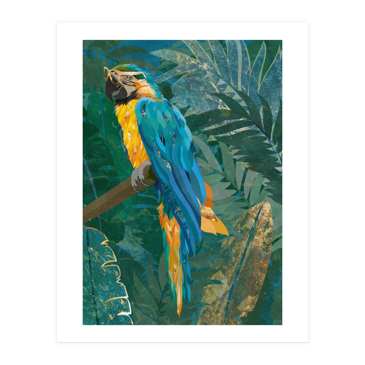 Macaw Meditation in the tropical jungle (Print Only)