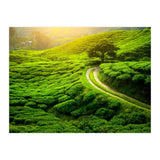 Nature (Print Only) thumbnail
