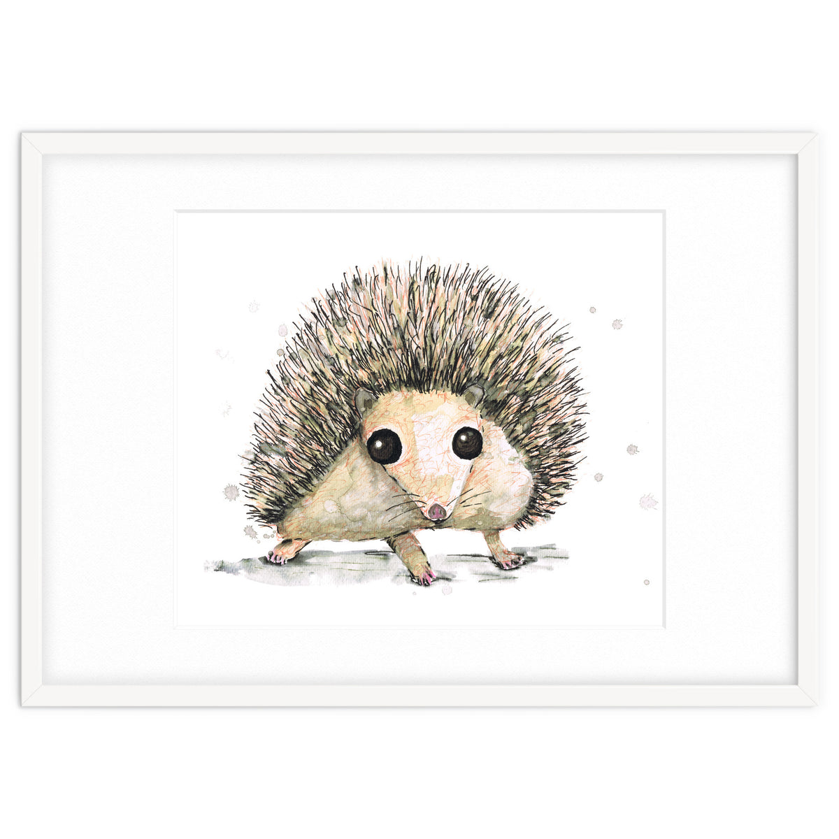 Hedgehog