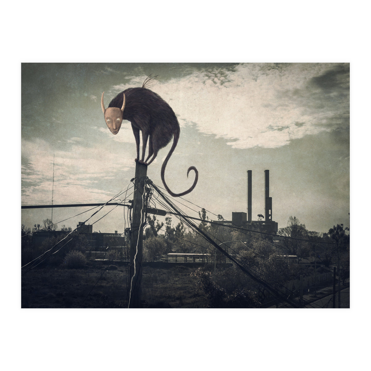 Bicho volador (Print Only)