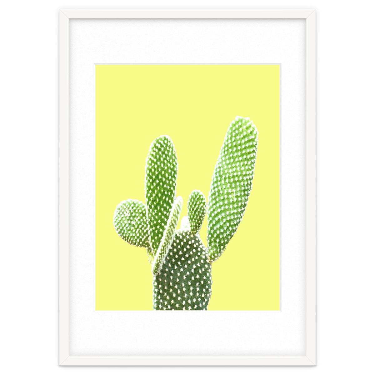 Cactus Yellow Background