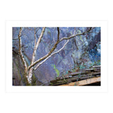 Dinorwic slate quarries in Llanberis, Wales, 3 (Print Only) thumbnail