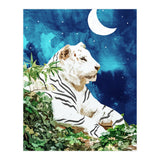 Moonbath (Print Only) thumbnail