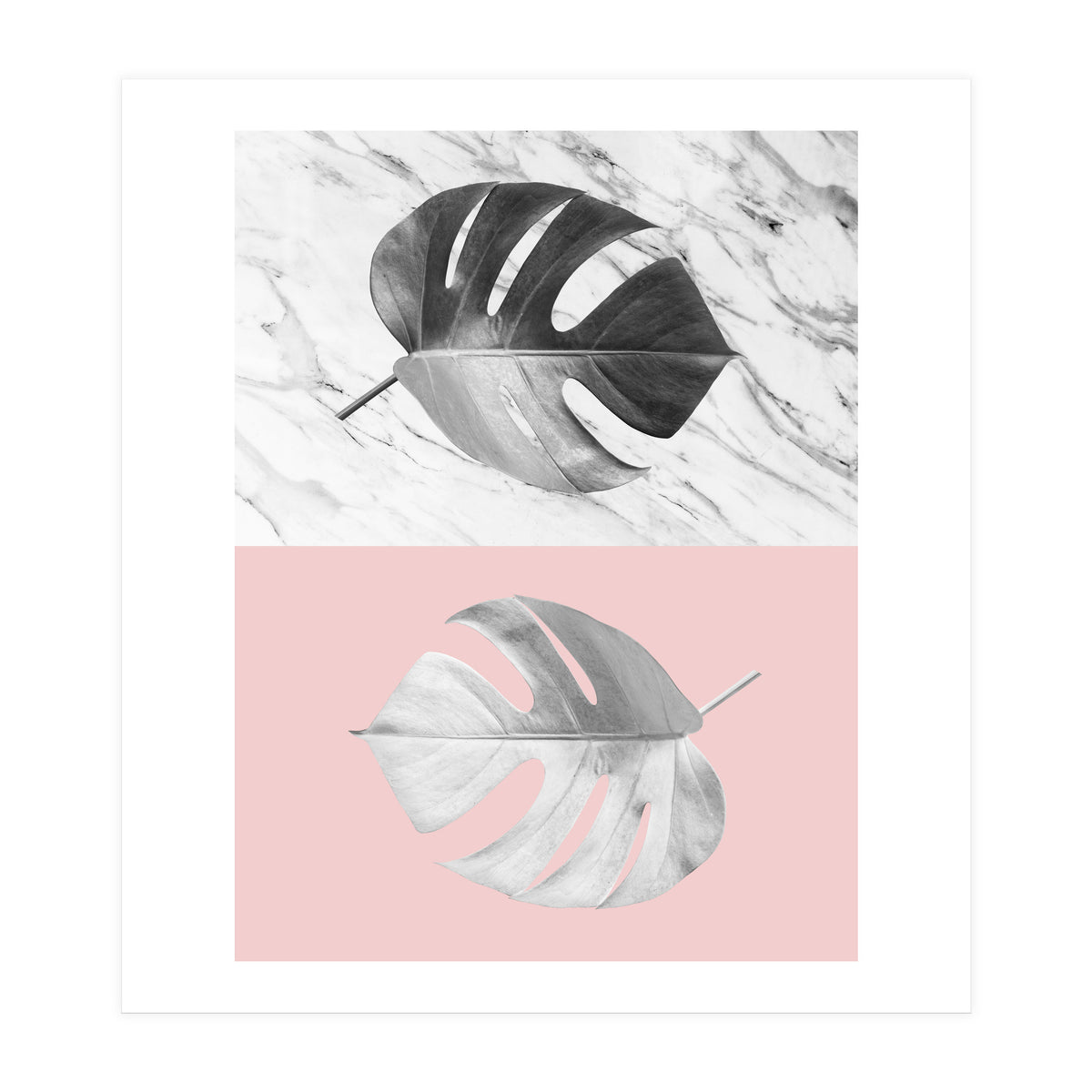 Tropical collage V (Print Only)