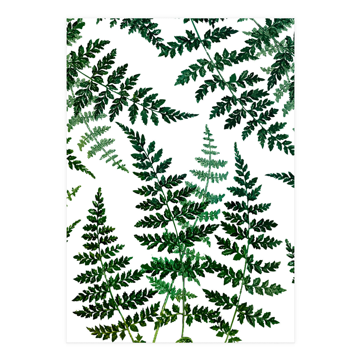 Botanical Bliss (Print Only)