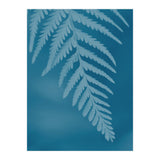 Pteridopsida 2 (Print Only) thumbnail