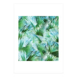 Palm Dreamer (Print Only) thumbnail