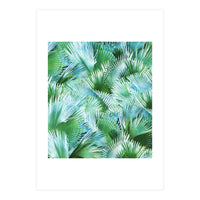 Palm Dreamer (Print Only)