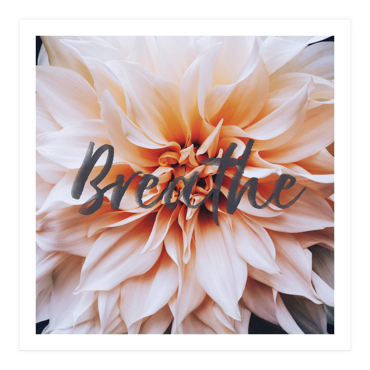 Breathe  (Print Only)