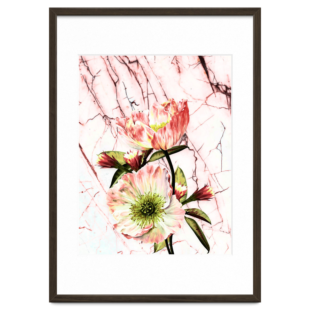 Flowering on pink marble