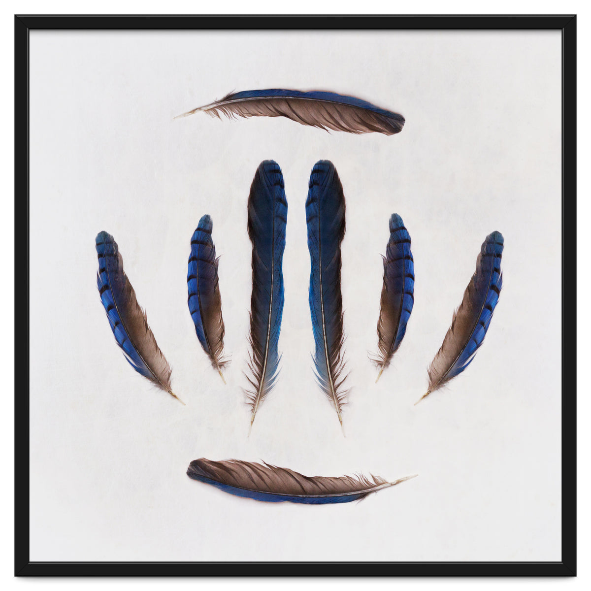 Forgive Me For Forgetting