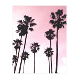 Palms & Sunset (Print Only) thumbnail