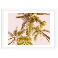 Blush Pink Boho Palm Trees