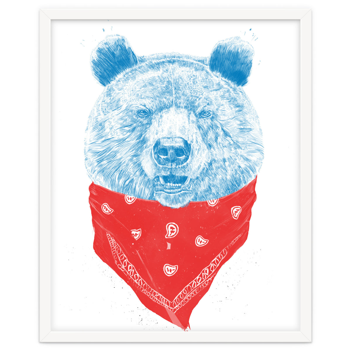 Wild Bear Color Version