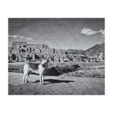 Taos (Print Only) thumbnail
