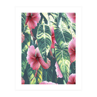 Wild Hibiscus (Print Only)