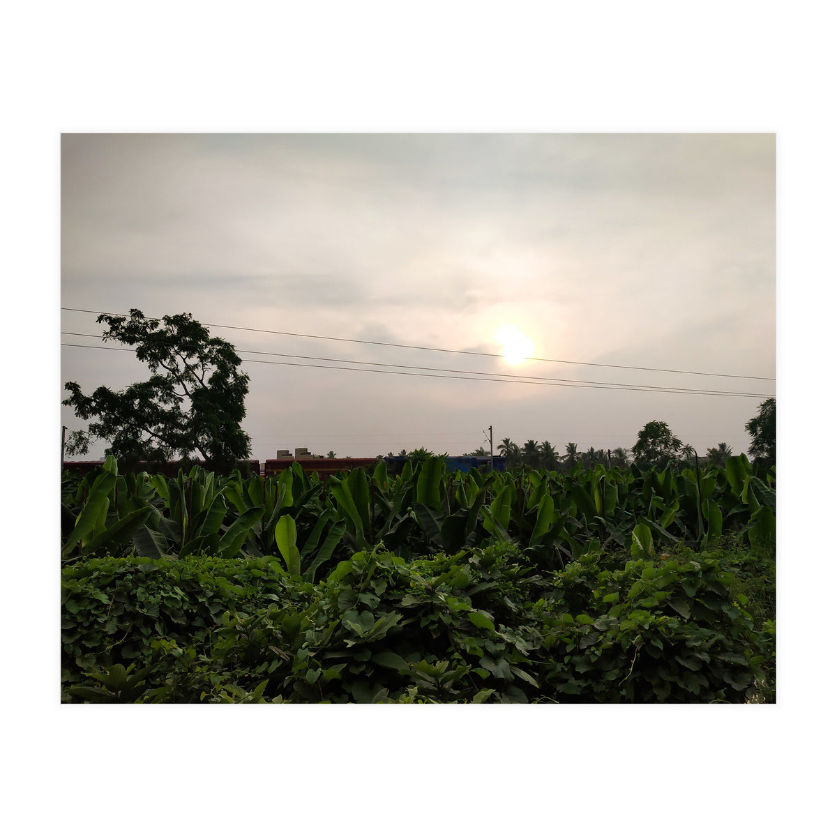 Never Ending Journey (Print Only)