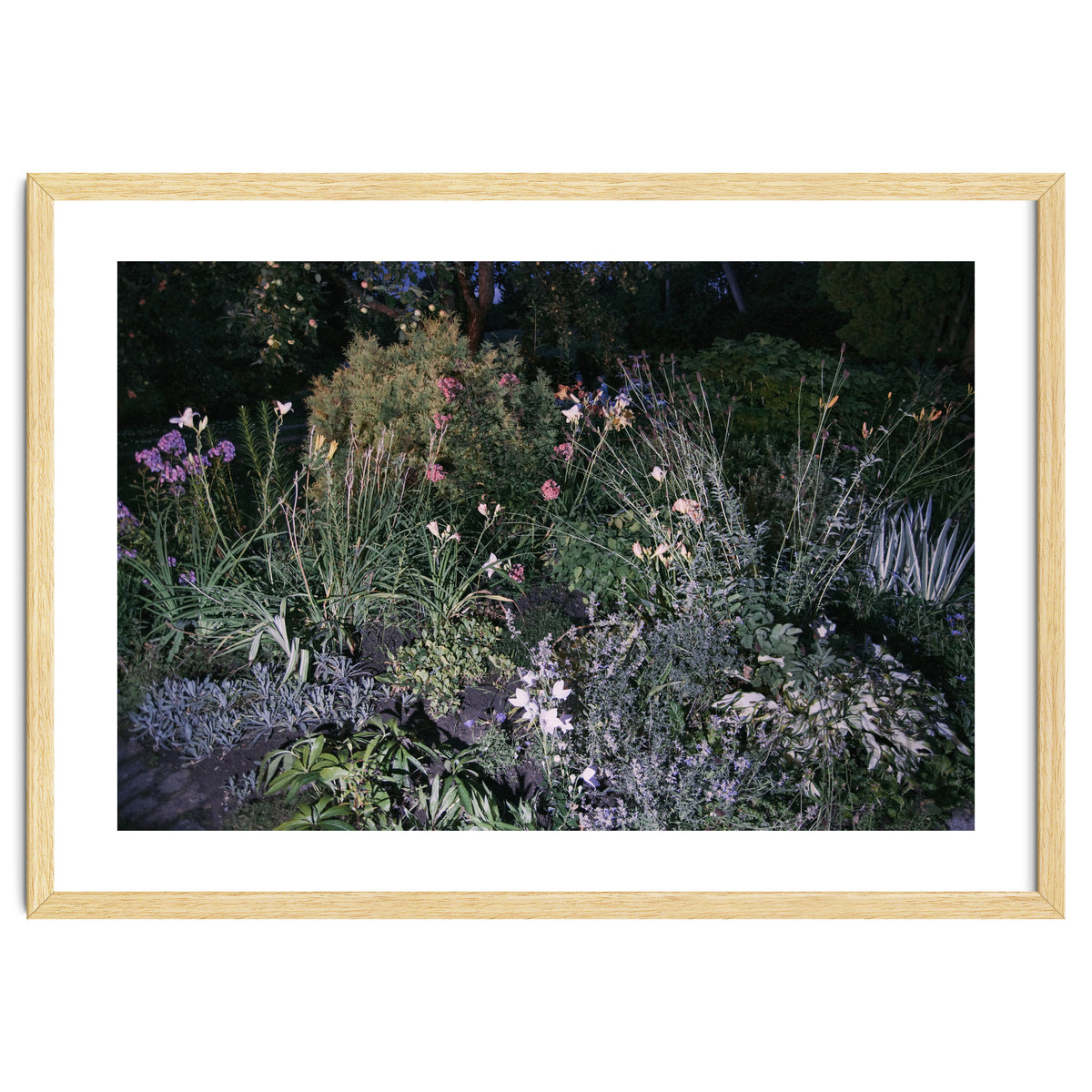 Picture Postcard Perfect