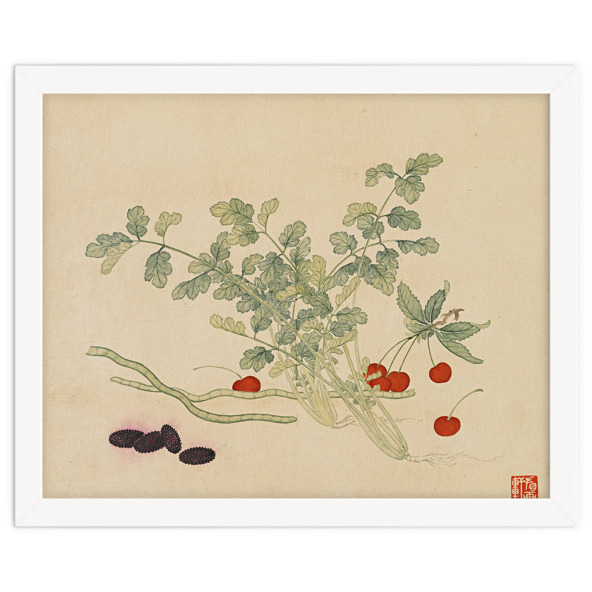 Wang Chengyu~flowers And Vegetables, Vegetables, Fruits, Beans, Red Beans, Cherries, Celery