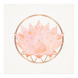 Peach Succulent  Blossom (Print Only) thumbnail