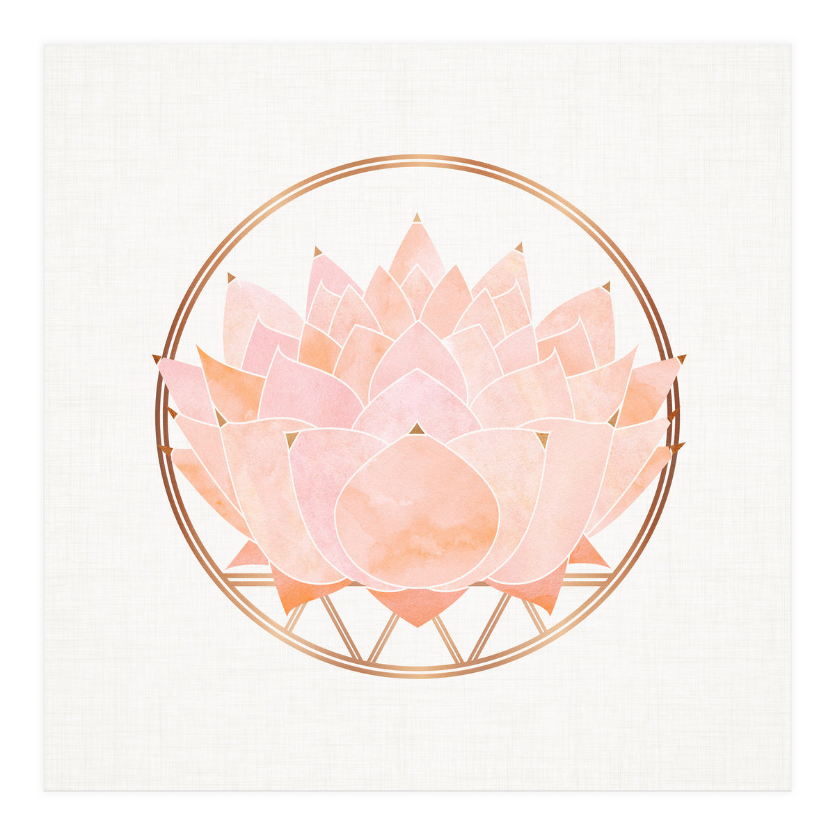 Peach Succulent  Blossom (Print Only)