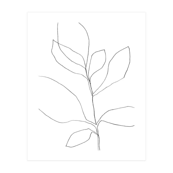 Seven Leaf Plant (Print Only)
