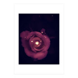 Red Sparkling Rose (Print Only) thumbnail