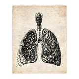 Lungs Anatomy (Print Only) thumbnail