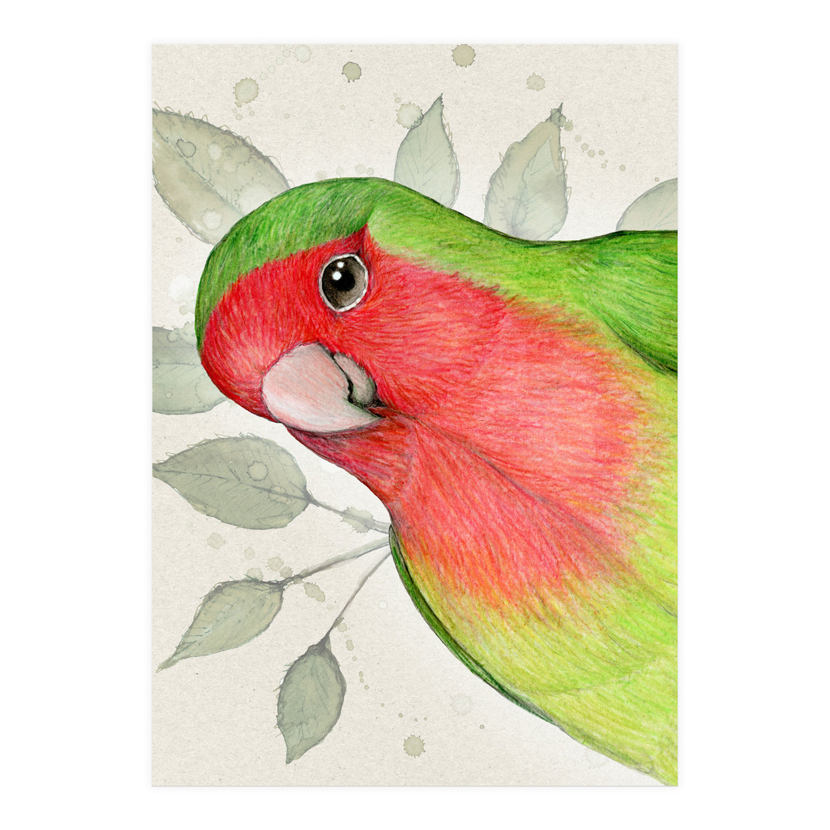 Curious lovebird (Print Only)