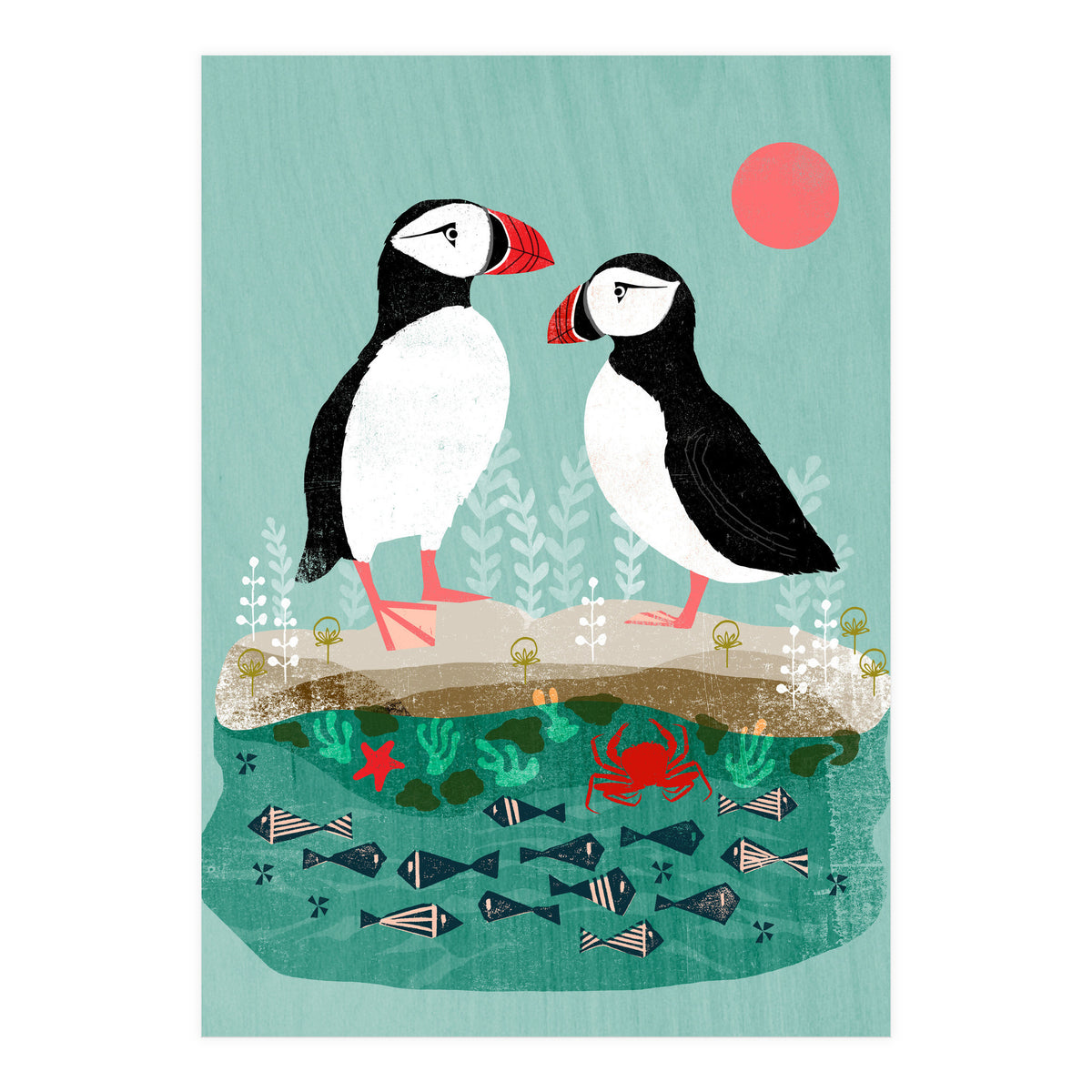 Puffin (Print Only)