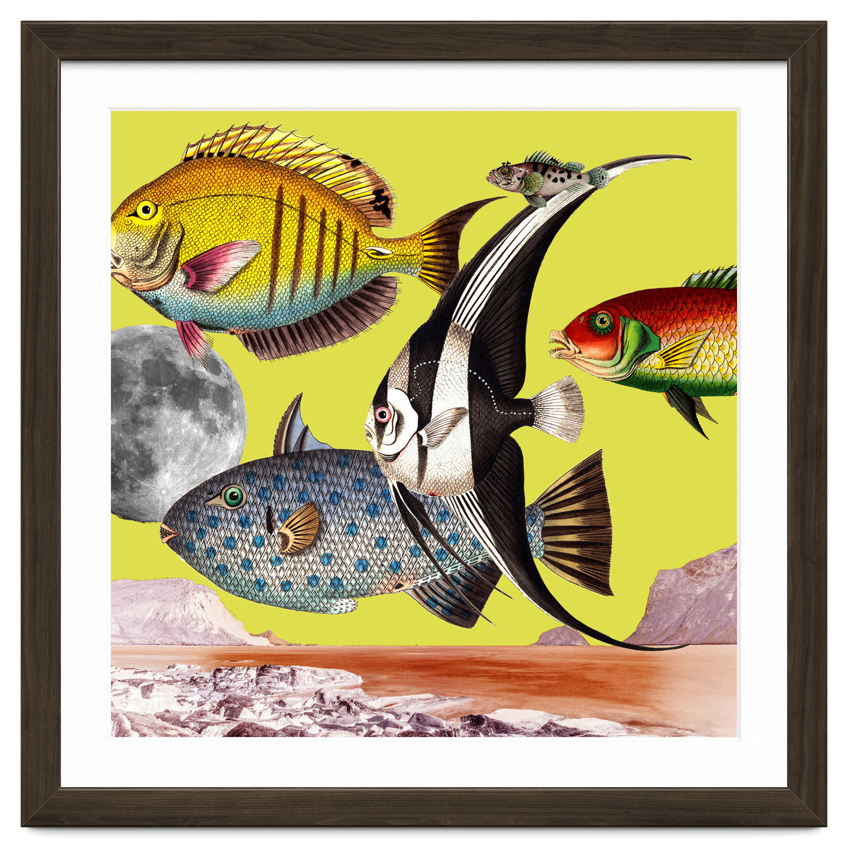 Plenty Of Fish In The Sea Yellow