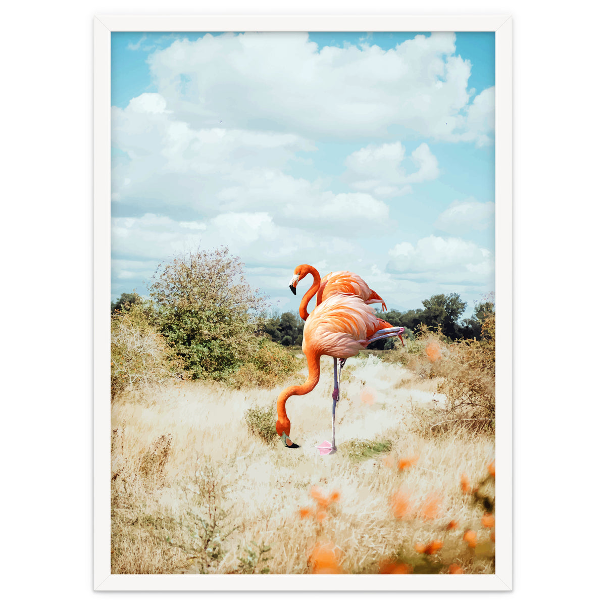 Flamingo Couple