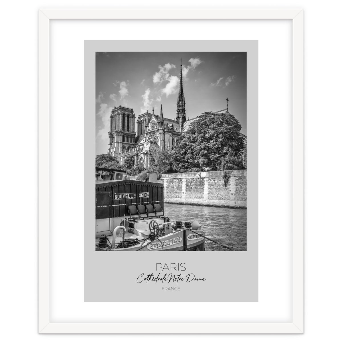 In focus: PARIS Cathedral Notre-Dame